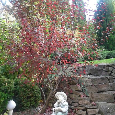 Cecey Vendeghaz Bed & Breakfast Eger Exterior foto