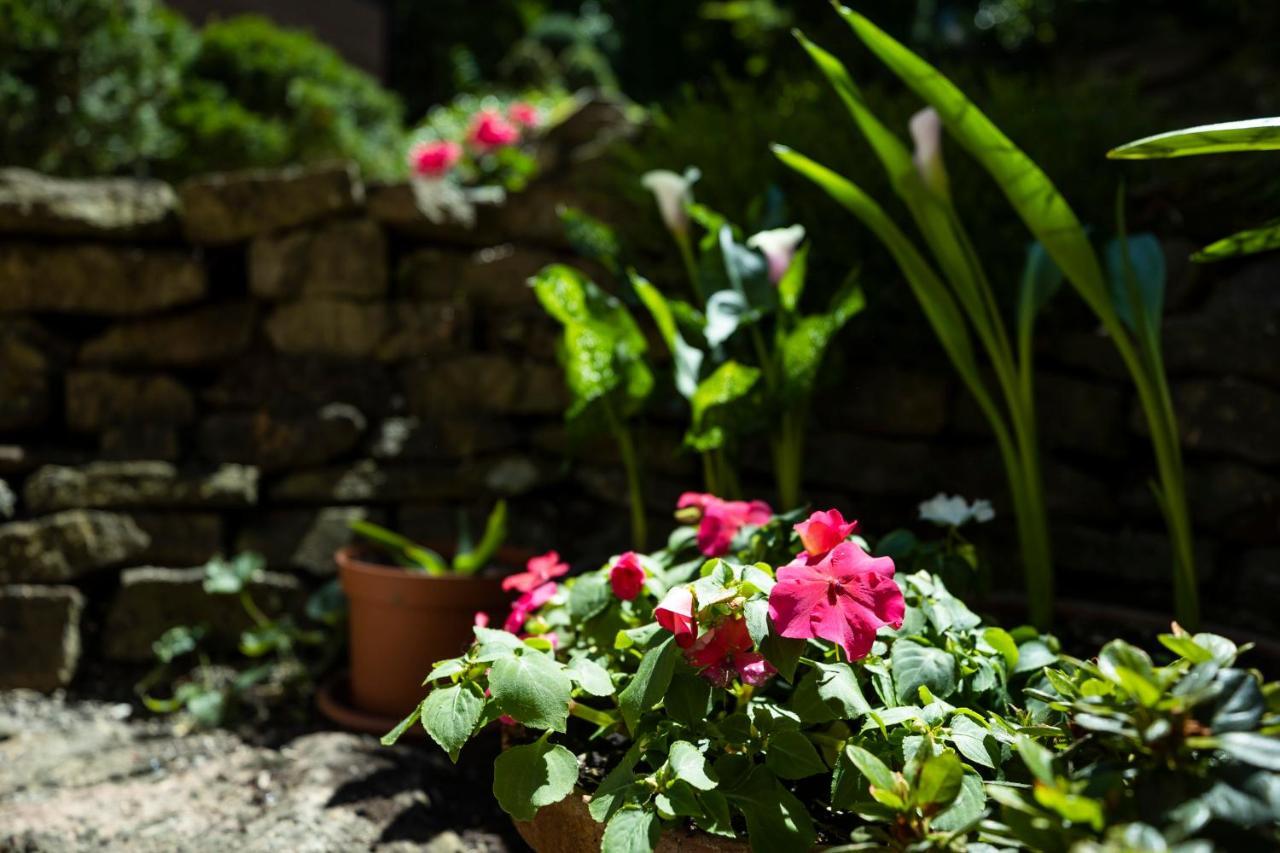 Cecey Vendeghaz Bed & Breakfast Eger Exterior foto