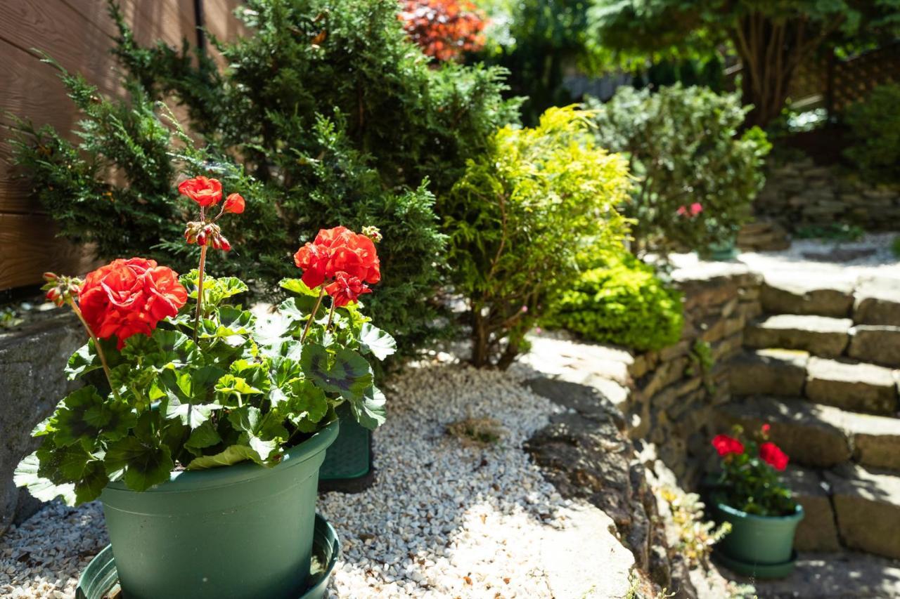 Cecey Vendeghaz Bed & Breakfast Eger Exterior foto